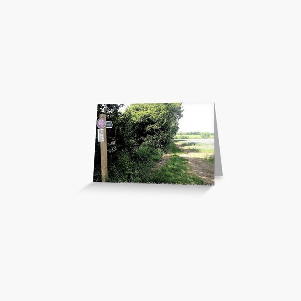 Stowmarket of Suffolk Linseed fields Greeting Card