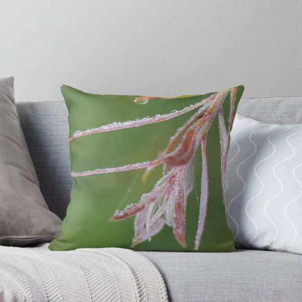 Item preview, Red Chill designed and sold by Darren Wright.