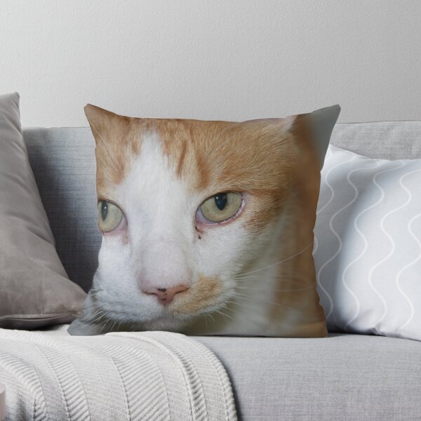 Mick Throw Pillow