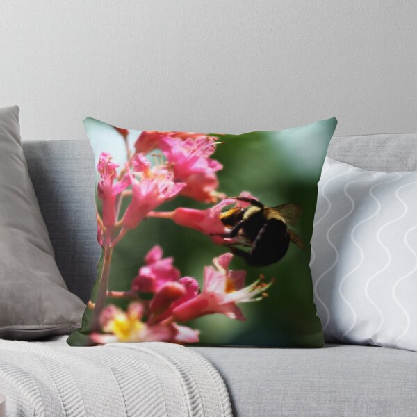 Item preview, Concentration................ designed and sold by Larry Llewellyn.
