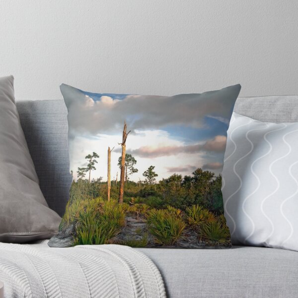 Item preview, Scrub. Lake Lizzie Preserve.  designed and sold by christopher kusik.