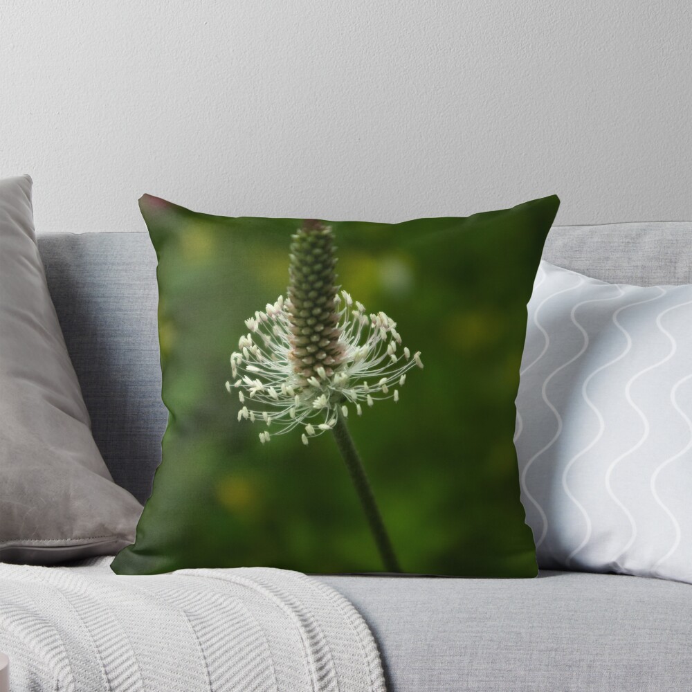 Item preview, Throw Pillow designed and sold by steppeland.
