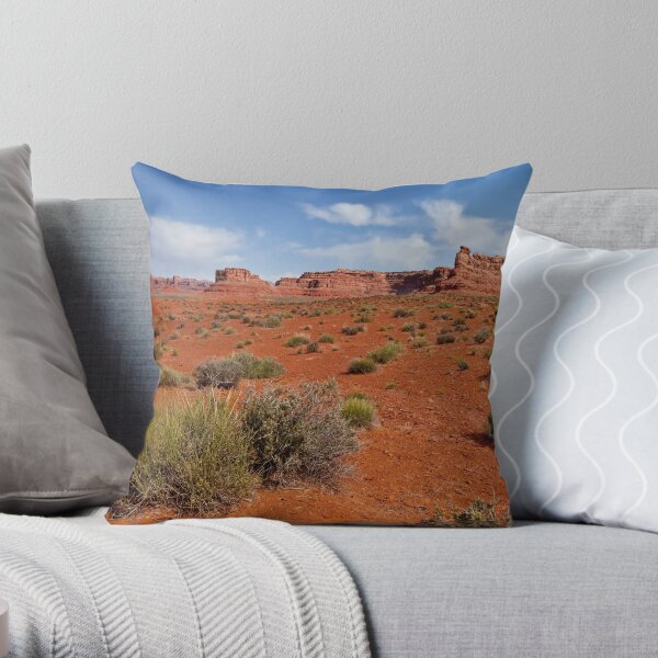 Valley of the Gods - Floor of the desert Throw Pillow