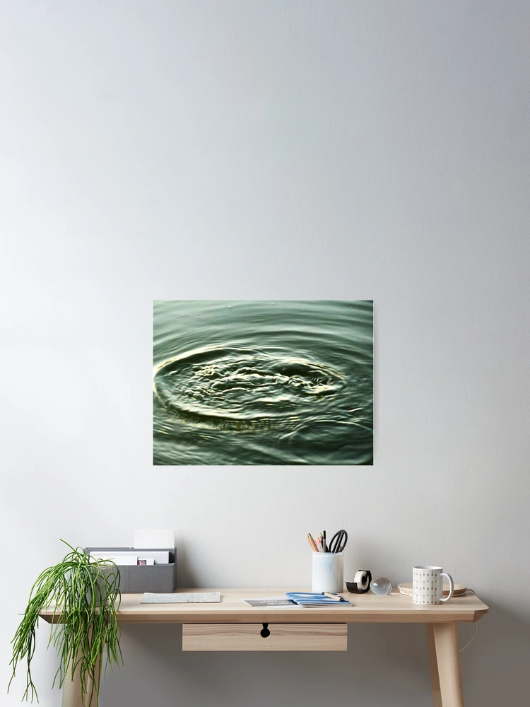 Thumbnail 2 of 3, Poster, Fish Ripples designed and sold by Virginia Daniels.