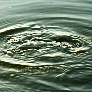 Artwork thumbnail, Fish Ripples by Virginia Daniels