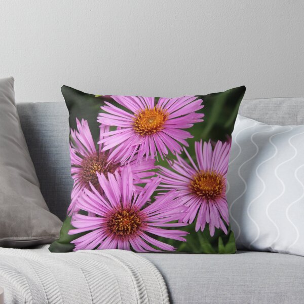 Item preview, Aster designed and sold by vbk70.