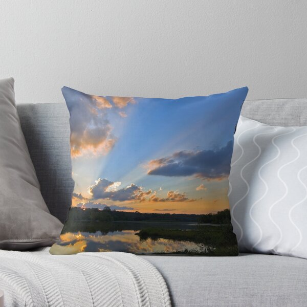 Item preview, You Promised Me a Symphony designed and sold by Steve Bradley.