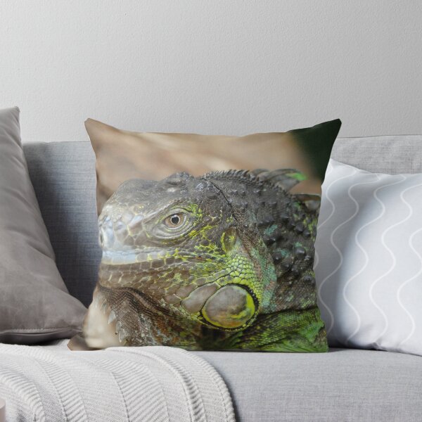 Item preview, Iggy designed and sold by Dorothy Thomson.