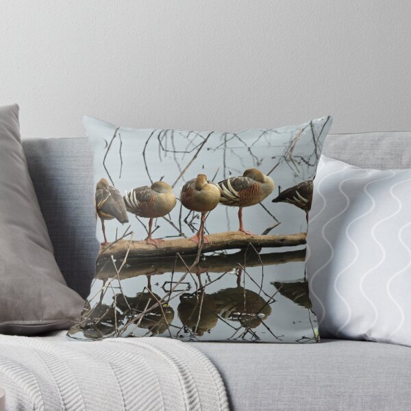 Item preview, All Ducks in a Row designed and sold by triciaoshea.