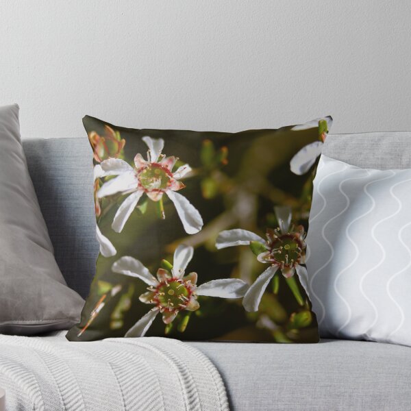 Item preview, Leptospermum semibaccatum  designed and sold by andrachne.