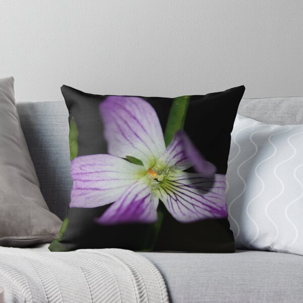 Item preview, Viola betonicifolia  designed and sold by andrachne.