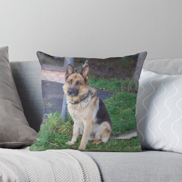 Item preview, My German Shepard designed and sold by MrTaskaev.