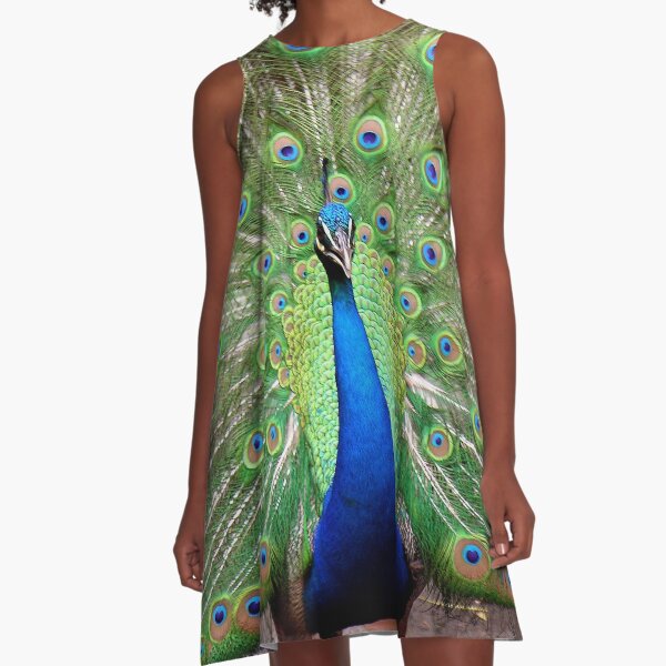 peacock dance display A-Line Dress