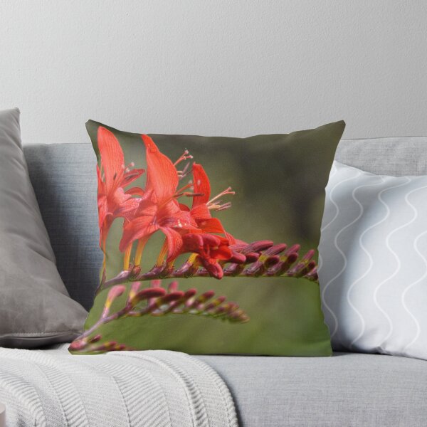 Item preview, Montbretia (Crocosmia Lucifer) designed and sold by lynn carter.
