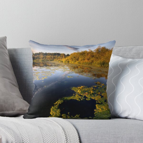 Item preview, Pond Life designed and sold by Don Guindon.