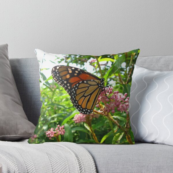 Aperçu de l'œuvre Delightful Monarchs créée et vendue par MarianBendeth.