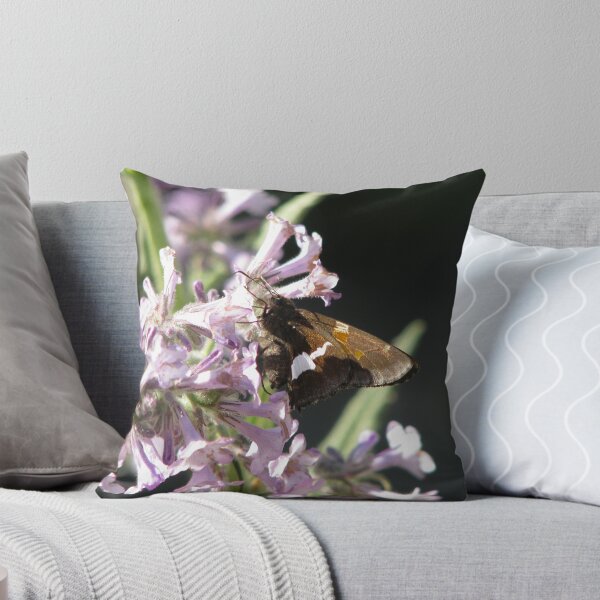 Item preview, Silver Spotted Skipper designed and sold by Chris Gudger.