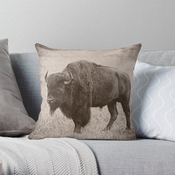 https://ih1.redbubble.net/image.799623336.2197/throwpillow,small,600x-bg,f8f8f8-c,0,120,600,600.u2.jpg