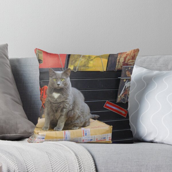 Artikelvorschau, Fette Katze im Plattenladen entworfen und verkauft von Callie Smith.