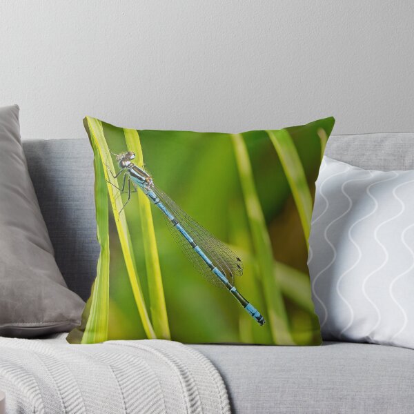 Item preview, Azure Damsel Fly designed and sold by MikeSquires.