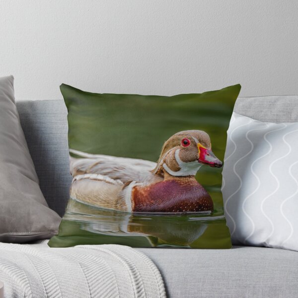 Aperçu de l'œuvre Apricot Wood Duck créée et vendue par Daniel Parent.