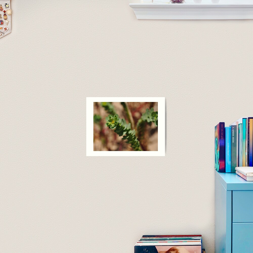 Sea Spurge Art Print