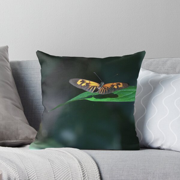 Item preview, Mancha de sol designed and sold by Mike Cicero.