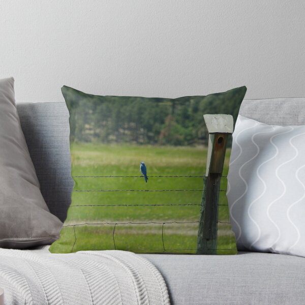 Item preview, Mountain Blue Bird designed and sold by Scott Hendricks.