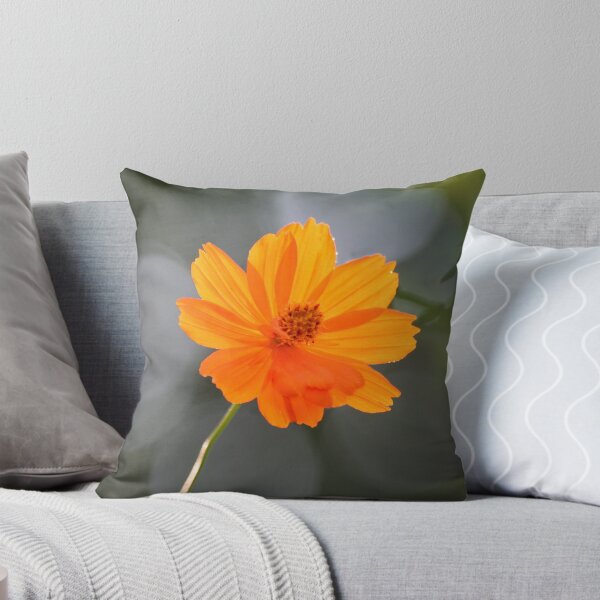 Item preview, Backlighting Cosmos designed and sold by Eileen McVey.