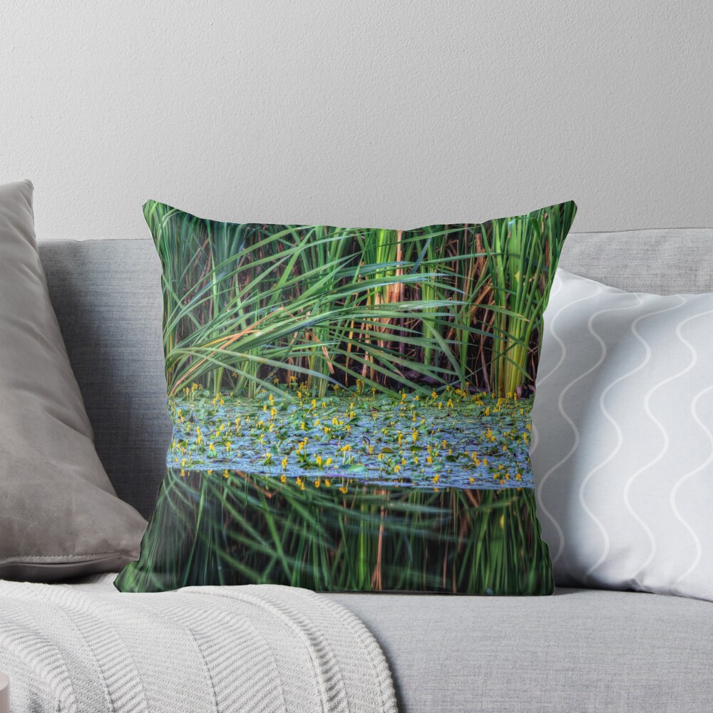 Item preview, Throw Pillow designed and sold by boblarsonphoto.