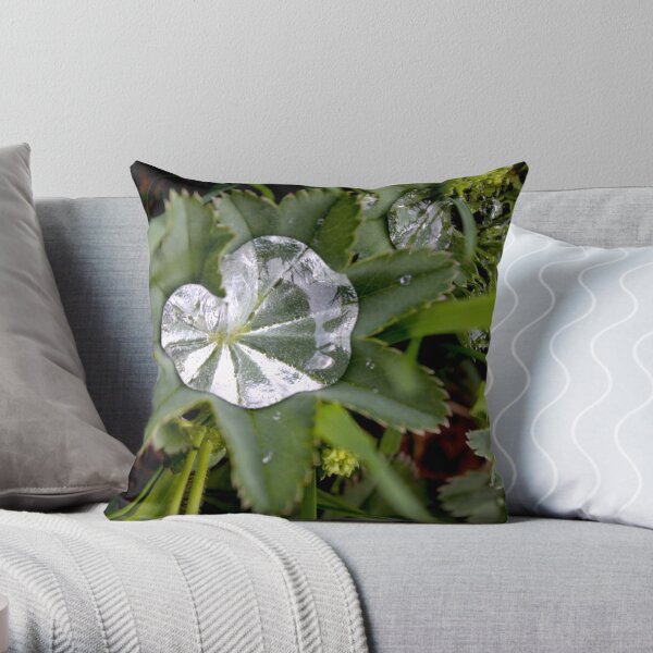 heart drown in one whole tear Throw Pillow