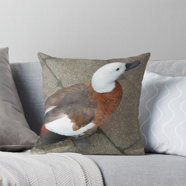 Item preview, Duck designed and sold by R-Summers.