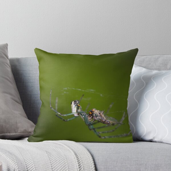Item preview, Spider vs Fly! designed and sold by vasu.