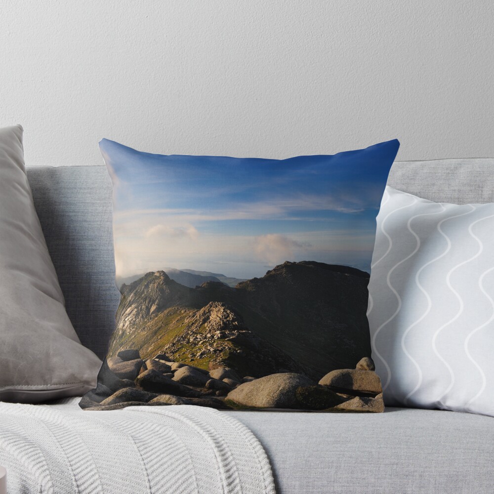 Item preview, Throw Pillow designed and sold by sjbowen.