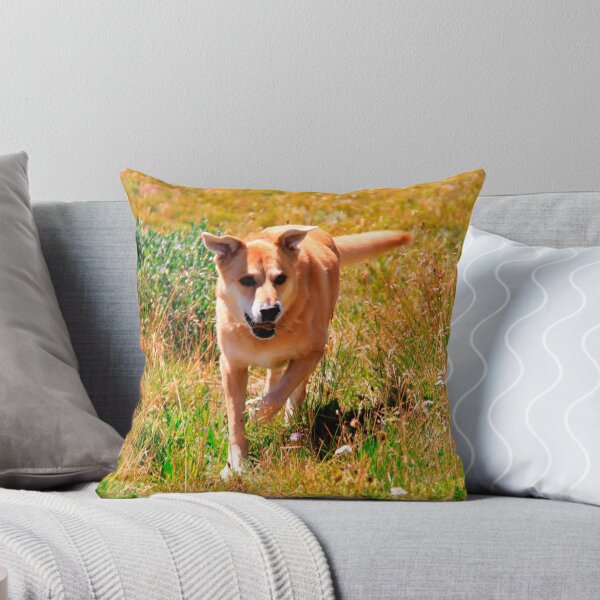 Item preview, Adventures with Y dog designed and sold by Karen  Rubeiz.