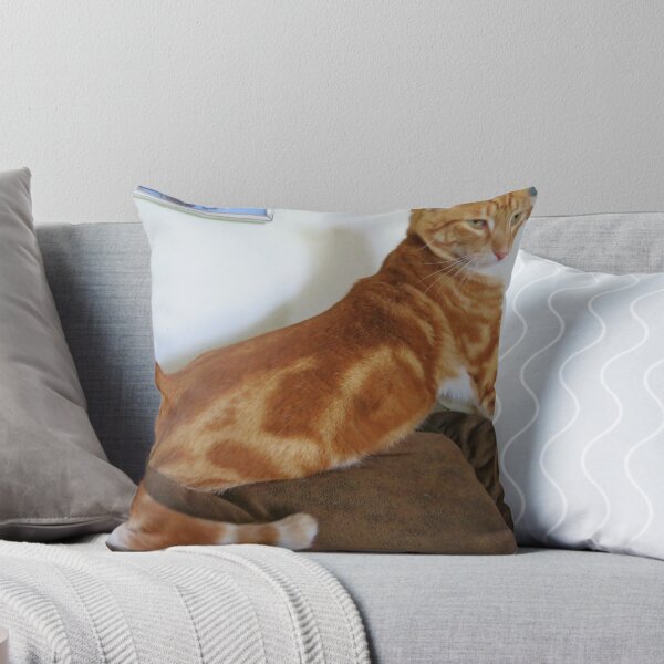 Item preview, Couldnt Get Him All In The Lens... designed and sold by Diane Arndt.
