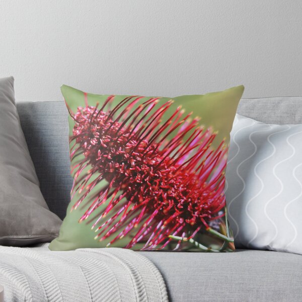 Item preview, Grevillea paradoxa designed and sold by andrachne.