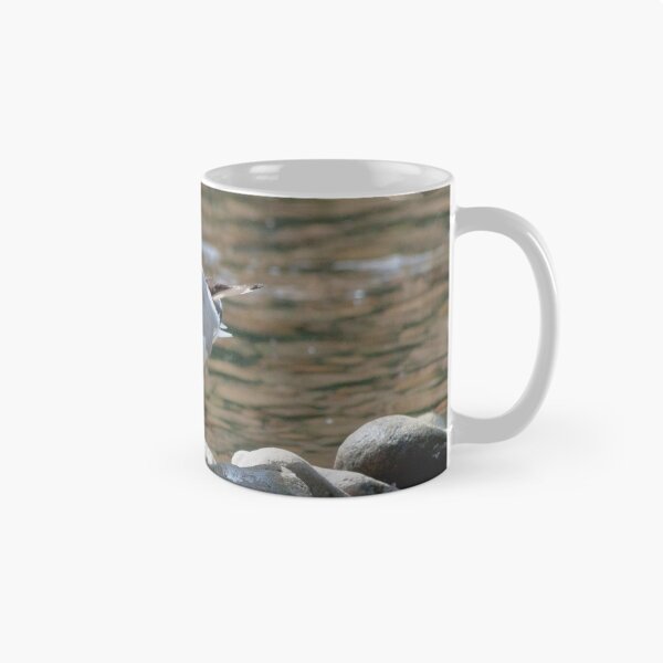 Item preview, Black-headed gull (Chroicocephalus ridibundus) - 2 designed and sold by Wizi-Top.