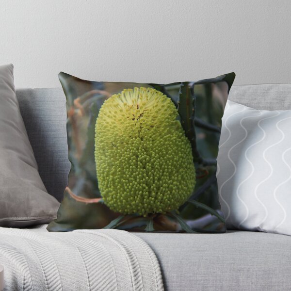 Banksia pilostylis Throw Pillow
