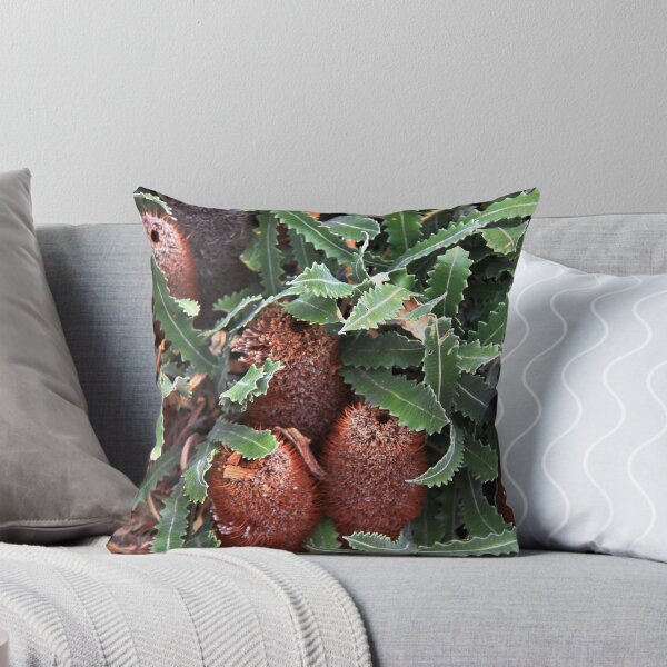 Item preview, Banksia repens  designed and sold by andrachne.
