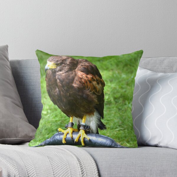 Artikelvorschau, Harris Hawk - Charmouth,Dorset,Uk entworfen und verkauft von lynn carter.