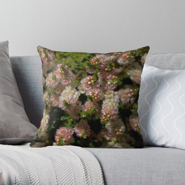 Verticordia albida Throw Pillow