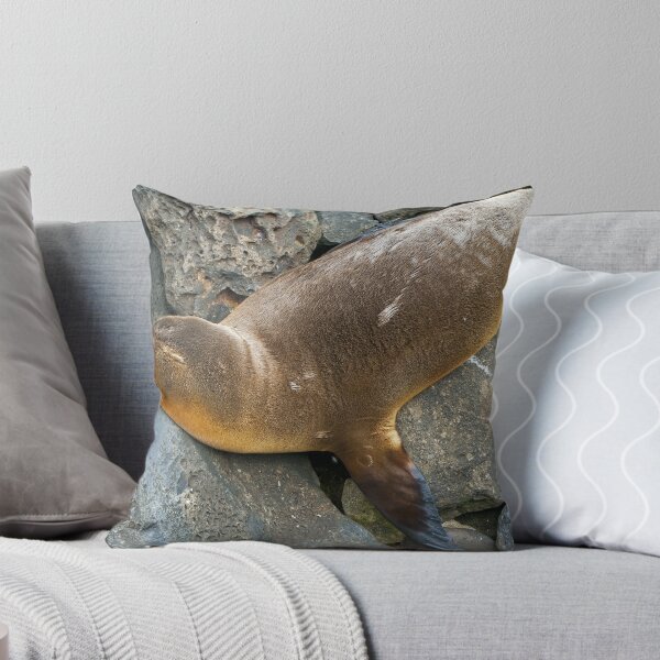 Item preview, Sea Lions7 designed and sold by bulljup.