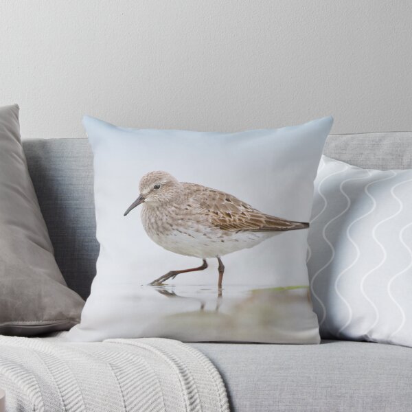Item preview, White-rumped Sandpiper. designed and sold by Daniel Cadieux.