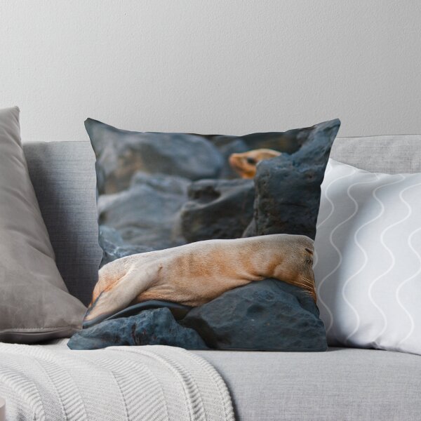 Item preview, Sea Lions13 designed and sold by bulljup.