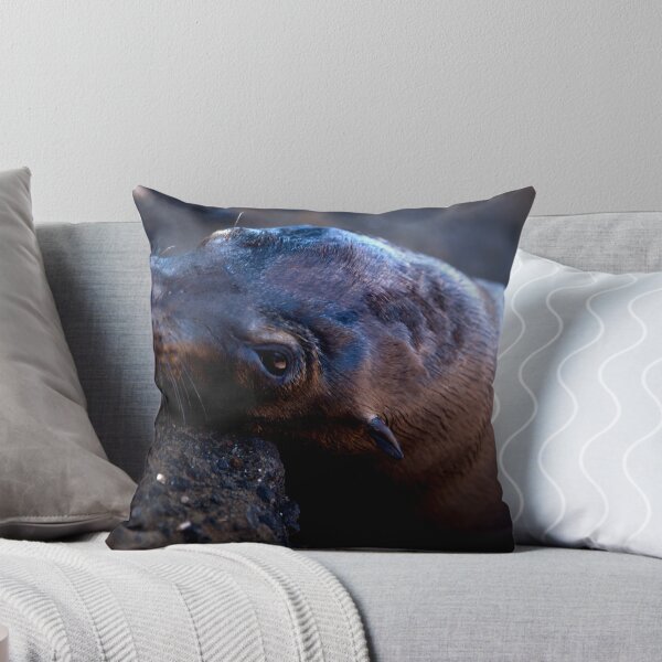 Item preview, Galapagos Sea Lion designed and sold by Frank Bibbins.