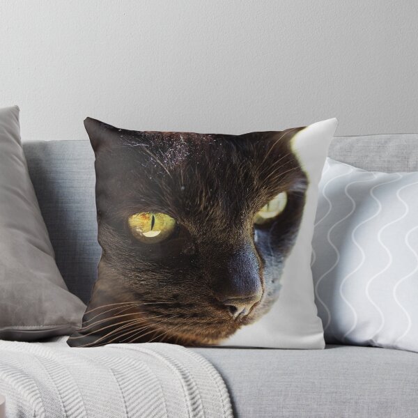 Item preview, Preoccupied designed and sold by iltby.