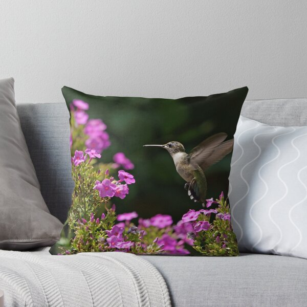 Aperçu de l'œuvre Hummingbird and Phlox créée et vendue par Sandy Keeton.