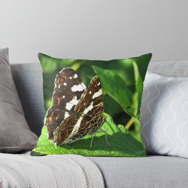 Item preview, The Map butterfly designed and sold by ienemien.