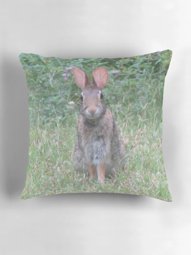 Thumbnail 3 of 4, Pillow, Brer Rabbit designed and sold by AlexCall.